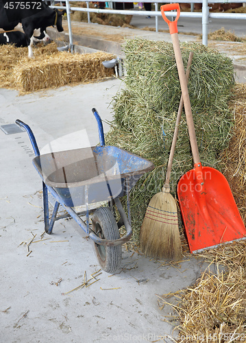 Image of Cleaning Stable