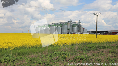 Image of Silo Field