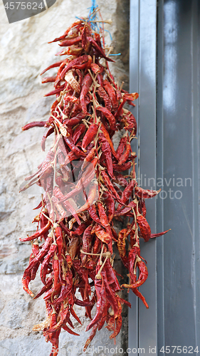 Image of Chili Peppers