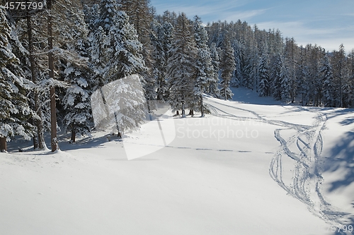 Image of Winter Snowy Mountain Landscape