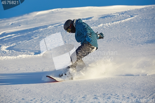 Image of Snowboarding in fresh powder snow