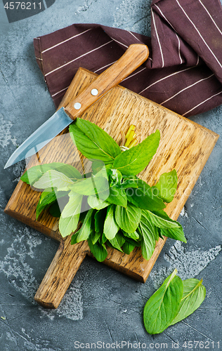 Image of fresh mint