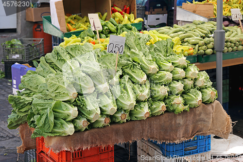 Image of Fresh Salad