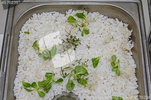 Image of White Rice