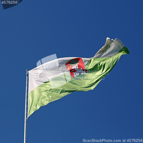 Image of Ljubljana Flag