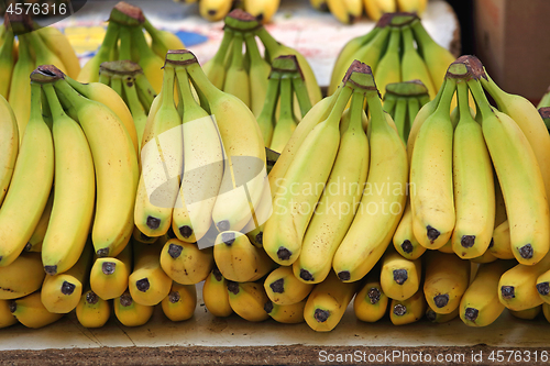 Image of Banana Pile