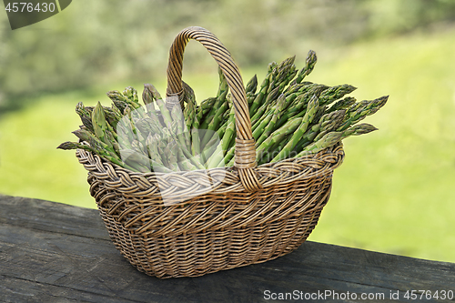 Image of Asparagus