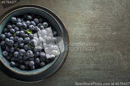 Image of Blueberry