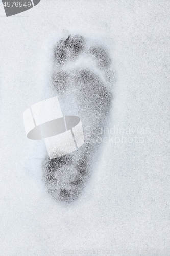 Image of Footprint barefoot in snow