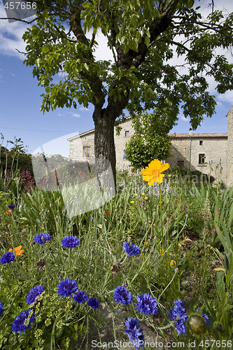 Image of french farm house garden in spring