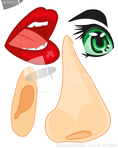 Image of Parts of the person of the person nose,ear and lips and eye