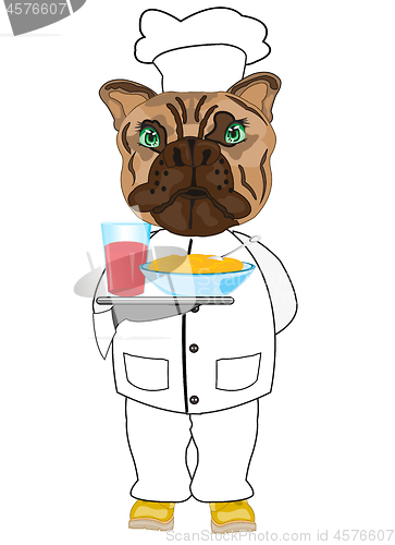 Image of Dog cook on white background is insulated
