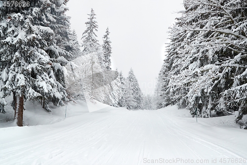 Image of Winter Snowy Mountain Road Landscape