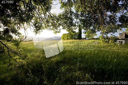 Image of view from under a tree after a rainstorm france