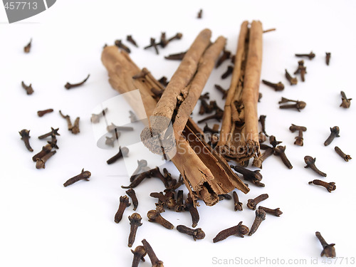 Image of Cinnamon and Cloves
