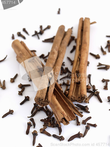 Image of Cloves and Cinnamon