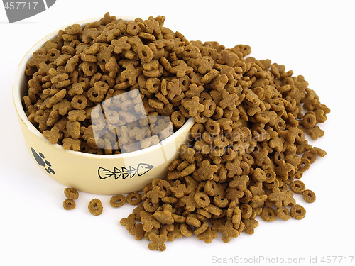 Image of Cat Food Spill