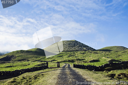 Image of Pasture fields in Pico island, Azores