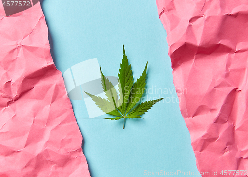 Image of Card with green marijuana leaf.