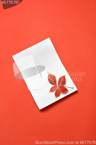 Image of Congratulation card with fall grape leaf on a coral.