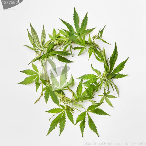 Image of Wreath from green cannabis leaves.