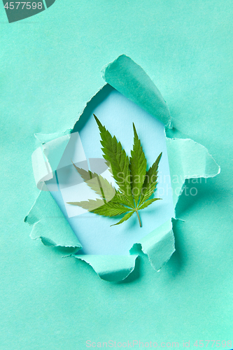 Image of Marijuana leaf in a craft paper frame.