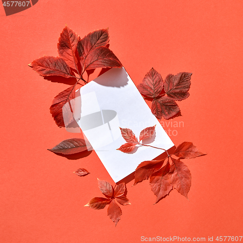 Image of Greeting autumn card with red leaves and blank paper sheet.