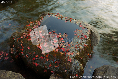 Image of autumnal zen