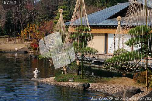 Image of japanese garden