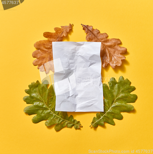 Image of Crumbled paper sheet on a fall oak leaves dry and green.