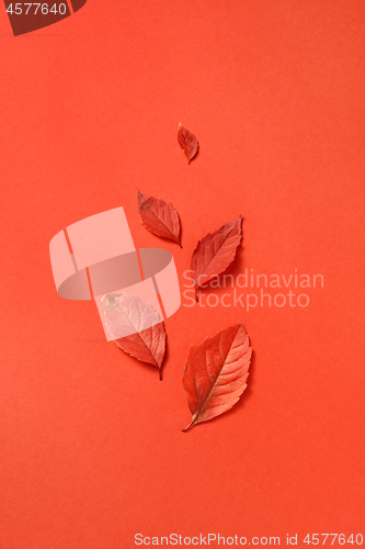 Image of Handmade fall red leaves pattern on a coral background.