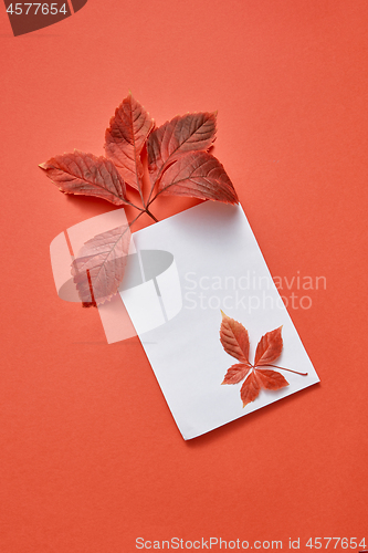 Image of Greeting card with red colored fall leaves and blank white paper.