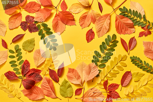 Image of Multicolored leaves greeting autumn frame with soft shadows.