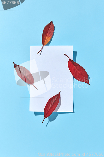 Image of Blank paper sheet with four red leaves and hard shadows.