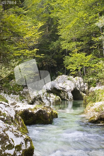 Image of Mountain river in green forest