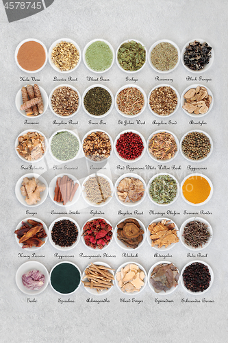 Image of Super Food Selection for a Healthy Life