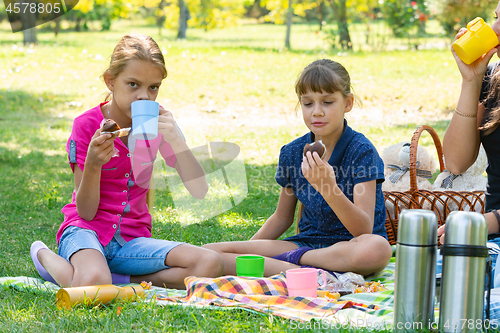 Image of Family drinks tea at a picnic, thermoses with water are standing nearby