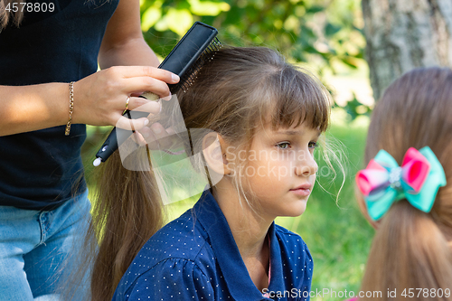 Image of Girl on nature combs her hair with a girl