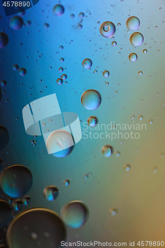 Image of Multicolored abstract background picture made with oil, water and soap