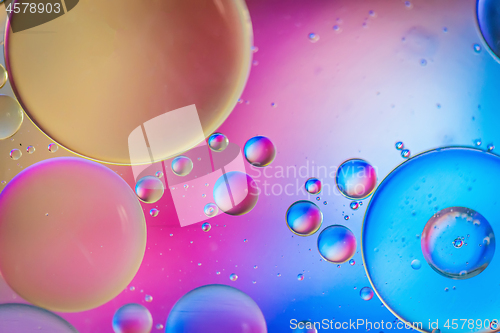 Image of Multicolored abstract defocused background picture made with oil, water and soap