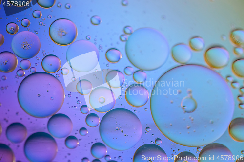 Image of Multicolored abstract background picture made with oil, water and soap