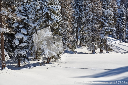 Image of Winter Snowy Mountain Landscape