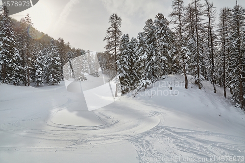 Image of Skiing slopes from the top