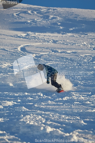 Image of Snowboarding in fresh powder snow