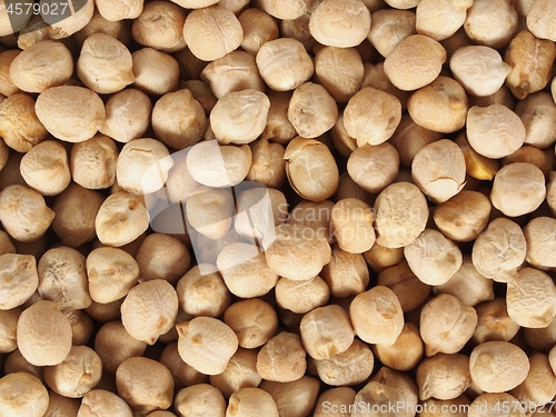 Image of Chick pea beans