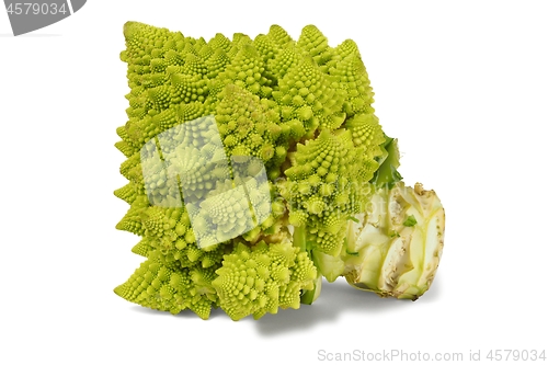 Image of Romanesco broccoli on white