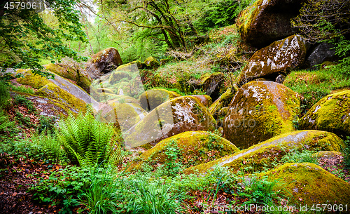 Image of Boulders in the forest at Huelgoat in Brittany