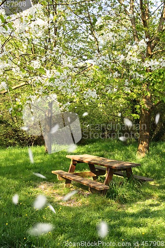 Image of Spring picnic table