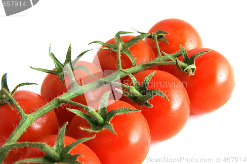 Image of Ripe tomatoes