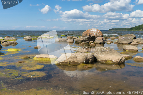 Image of Baltic sea coast in summer vacation